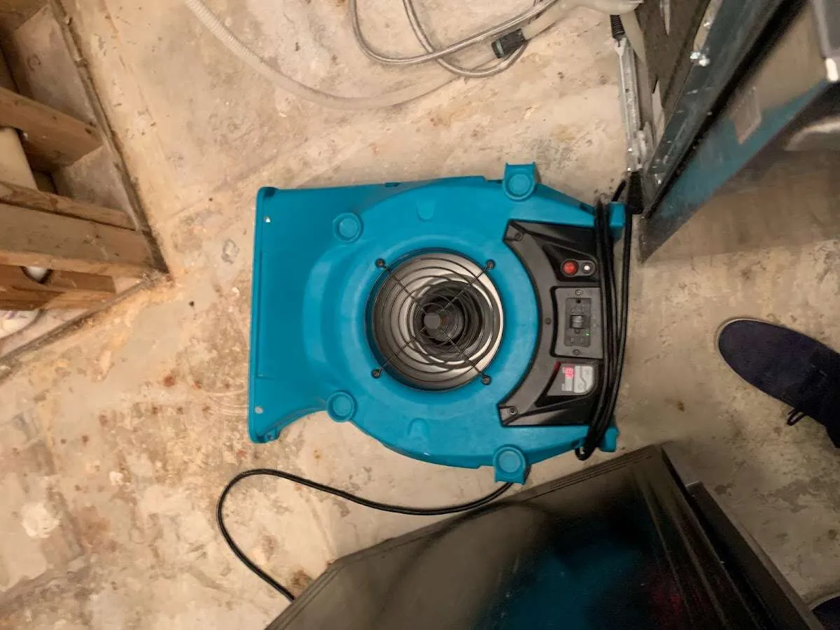 Air mover drying equipment for Mold Remediation & Removal in Willow Park
