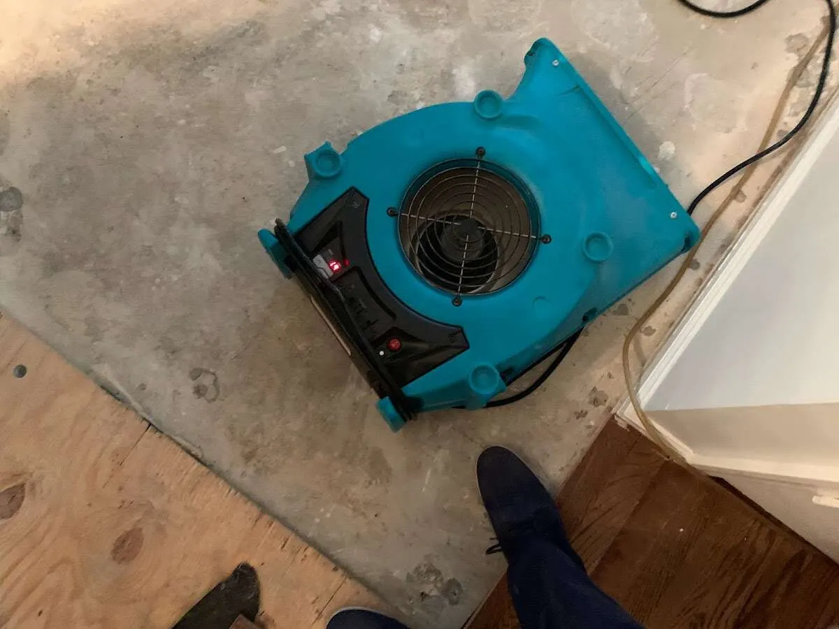 Air mover drying subfloor during Leak Detection & Repair in Willow Park
